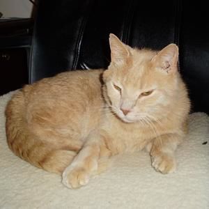 Meet your Posher, Jenny